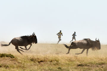 Kenya: marathon dans le réserve nationale du Masai Mara