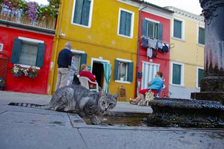 Photos du village coloré de Burano en Italie