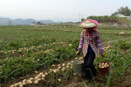 Chine : réalisations et challenges en matière de réduction de la pauvreté (ENCADRE)