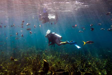 La plongée sous-marine dans les Caraibes en photos