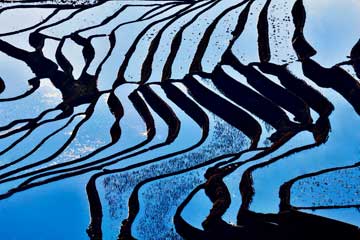 Photos - Paysages des rizières en terrasse au Yunnan