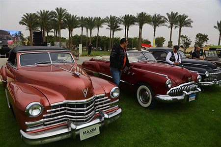Des voitures classiques exposées au Caire