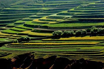 Photos - paysages de champs en terrasses en Chine