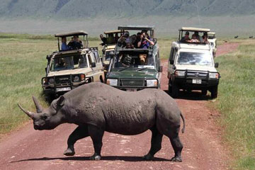 Photos: des animaux sauvages dans le cratère du Ngorongor