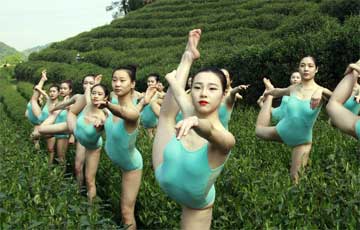 Séance de yoga en groupe dans un jardin de thé à Hangzhou