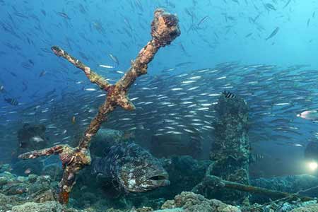 D'impressionnantes photos sous-marines d'épaves à travers le monde
