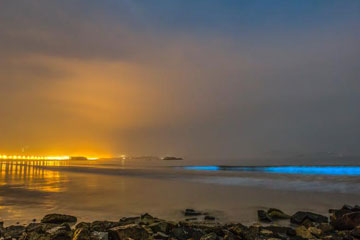 Fujian : des vagues bleues bioluminescentes illuminent la côte
