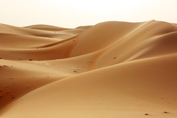 Photos - Paysages du désert de Liwa aux Emirats arabes unis