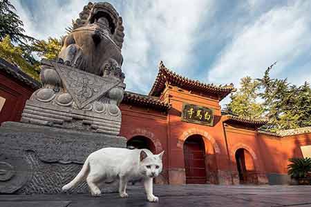 A la découverte de la ville de Luoyang en photos