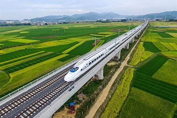 Train à grande vitesse dans le sud de la Chine