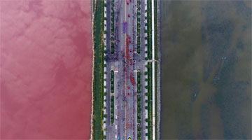 Shanxi : le lac salé de Yuncheng devient bicolore