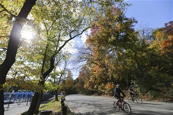 En photos : Paysages d'automne au Parc central à New York