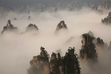 Photos - La mer de nuages de la montagne Tianzi à Zhangjiajie