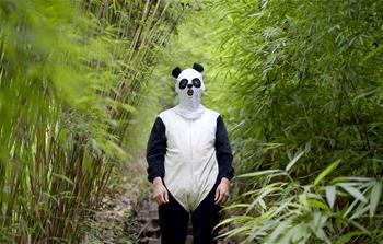 Bilan 2016 : dix clichés magnifiques de pandas