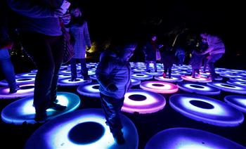 Photos : La fête des lumières ''Forêt enchantée" aux Etats-Unis
