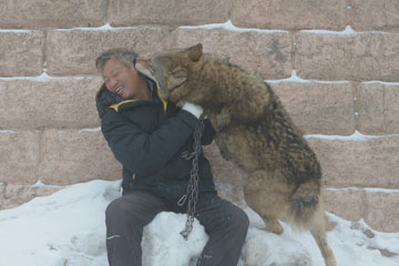 Xinjiang :il dépense chaque année un million de yuans pour élever plus de 150 loups