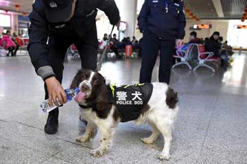 Chine : des chiens policiers en service à l'occasion de la fête du Printemps
