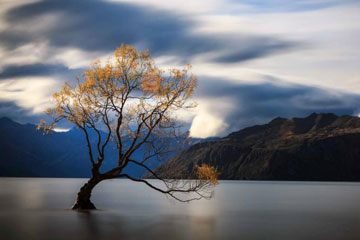 Nouvelle-Zélande : la splendeur du lac Matheson