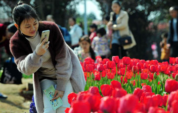 Nanchang: Des fleurs en pleine floraison