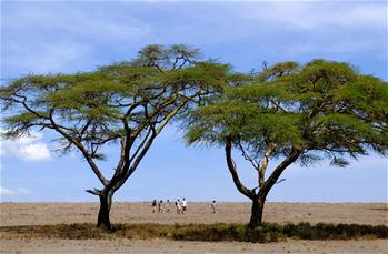 Paysages magnifiques du lac Naivasha au Kenya