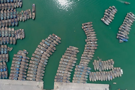 Interdiction estivale de pêche dans la province du Shandong
