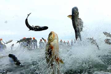 Zhejiang : une pêche fructueuse au bord du lac Qiandao
