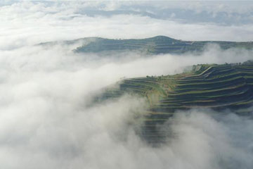 Chine : des champs en terrasses dans les nuages au Gansu