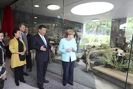 Xi Jinping et Angela Merkel inaugurent un Jardin des Pandas au zoo de Berlin