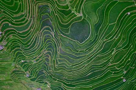 Beaux paysages des rizières en terrasses dans le sud-ouest de la Chine