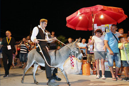 Croatie: course d'ânes traditionnelle de Tribunj