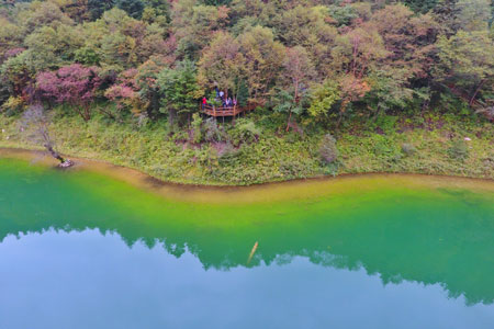 Paysages du Parc national forestier de Guanegou dans le nord-ouest de la Chine