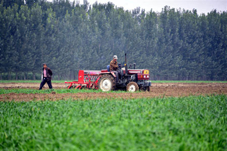 Chine : ensemencement des champs de blé au Shandong