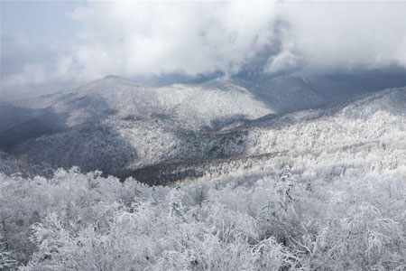 Paysages de neige dans le nord-est de la Chine