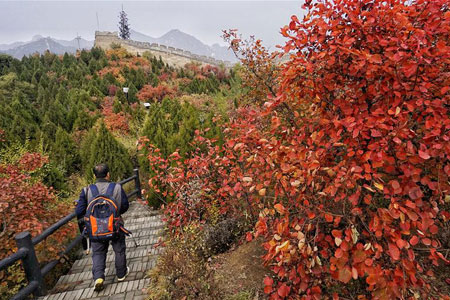Paysage d'automne à Beijing