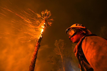 Etats-Unis : incendie de forêt en Californie