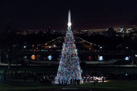 Etats-Unis: le sapin de Noël du Capitole