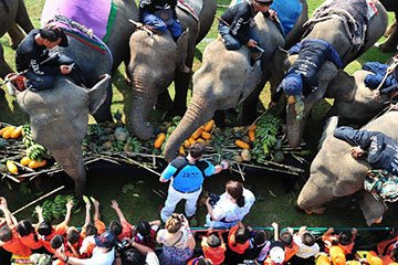 Thaïlande : tournoi de polo à dos d'éléphant à Bangkok