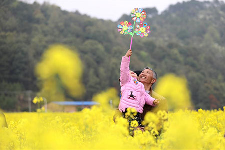 Chine : tourisme dans les champs de fleurs de colza