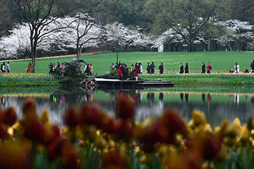 Chine : fleurs dans un parc de Hangzhou