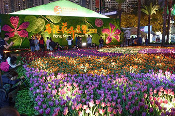 Salon floral de Hong Kong