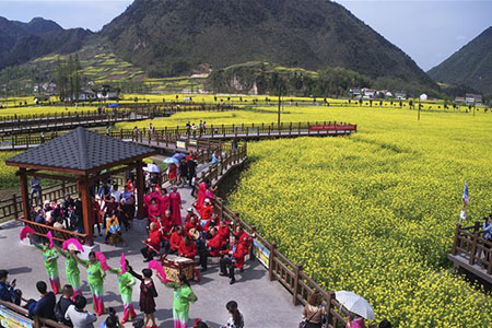 Chine : essor du tourisme lié aux fleurs