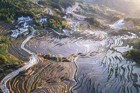Paysage de champs en terrasses dans le centre de la Chine