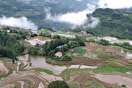 Beaux paysages de rizières dans le centre de la Chine