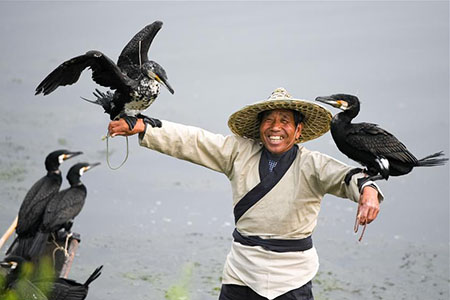 Chine : pêche au cormoran dans l'est