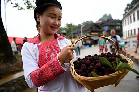 Festival des fraises chinoises dans le sud-ouest de la Chine