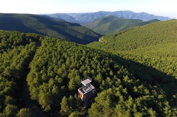 Chine : paysage de forêts dans le nord