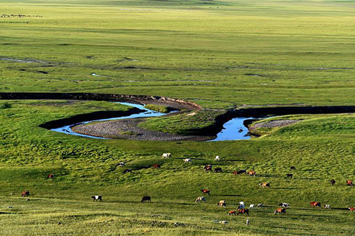 Chine: paysage d'une prairie en Mongolie intérieure