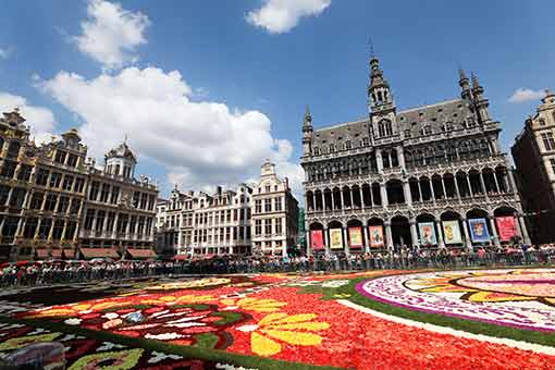 Belgique : Tapis de fleurs 2018