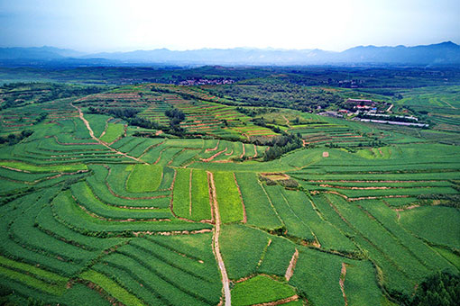 Paysage de champs en terrasses dans le nord de la Chine