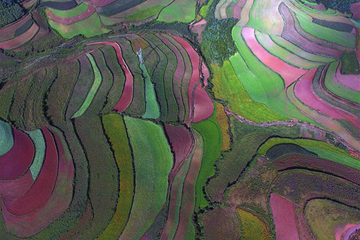 Paysage de terre rouge dans le sud-ouest de la Chine